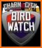 Ebony Bird: Ravens News related image