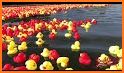 Duck Race related image