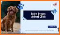 Animal Care Clinic Oregon related image