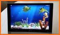 Fish Live Wallpaper 3D: Aquarium Phone Background related image