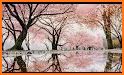 Beautiful Wallpaper Cherry Blossom Blizzard Theme related image