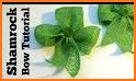 Saint Patrick Day Photo Frames related image