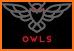 Forgetful Owl Premium related image