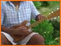 Strings Tuner - Guitar Ukulele related image