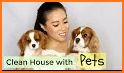 Puppy Home House Cleaning related image