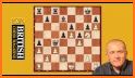 Encyclopedia Chess Combinations Vol. 1 Informant related image
