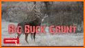 Deer Calls for Hunting & Deer Sounds related image
