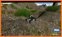 Extreme Quad Bike ATV Racing 3d related image