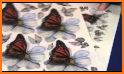 Butterfly Flower Free Match related image
