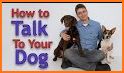 Talk To Your Dog related image