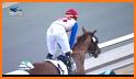 Horse Derby Racing 2019 related image