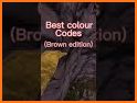 Color Codes: digitized color to record and compare related image