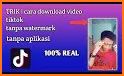 TikSave - Video Downloader for TikTok No Watermark related image