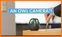 Owl Camera related image