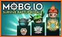 Battle Royale : Survival.io related image