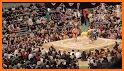 Sumo Wrestling Fight Arena related image