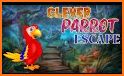 Successful Parrot Escape related image