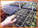 Greenhouse Ideas related image