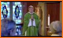 St Alphonsus Liguori Sunday Sermons related image