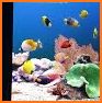 Marine Aquarium 3.3 PRO related image