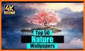 Free Download Nature Wallpaper related image