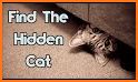 Find the Cat - Hidden Game related image
