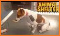 Wild Dog Pet Simulator Games related image