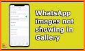 Photo Gallery & Video Status related image
