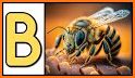 Letter Bug related image