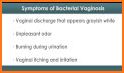 Bacteria Vaginosis related image