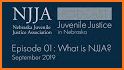 NJJA Juvenile Justice related image