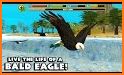 Eagle Simulator™ related image