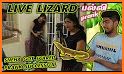 Lizard  on phone  prank related image