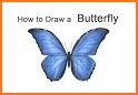 How to Draw Butterfly - Step by Step related image