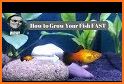 Guide  for fish feed and grow - HINTS related image
