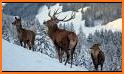 Winter Nature related image