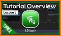 Olive - Learning Platform related image