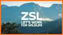 ZSL Instant Wild related image