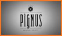 Pignus related image