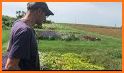WiBee: The Wisconsin Wild Bee App related image