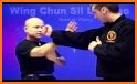 Wing Chun Kung Fu: SLT related image