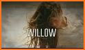 Willow related image