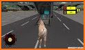 Wild Horse Zoo Transport Truck Simulator Game 2018 related image