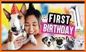 Puppy's Birthday Party related image