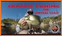 Crappie Fishing - Crappie.com Fishing Forums related image