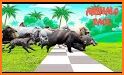 Animals Race! related image