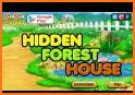 Hidden Forest Escape related image