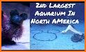 Aquarium Scavenger Hunt related image