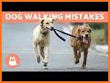 How Often To - Walk the Dog related image