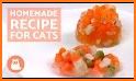 EASY HOMEMADE CAT FOOD RECIPES related image